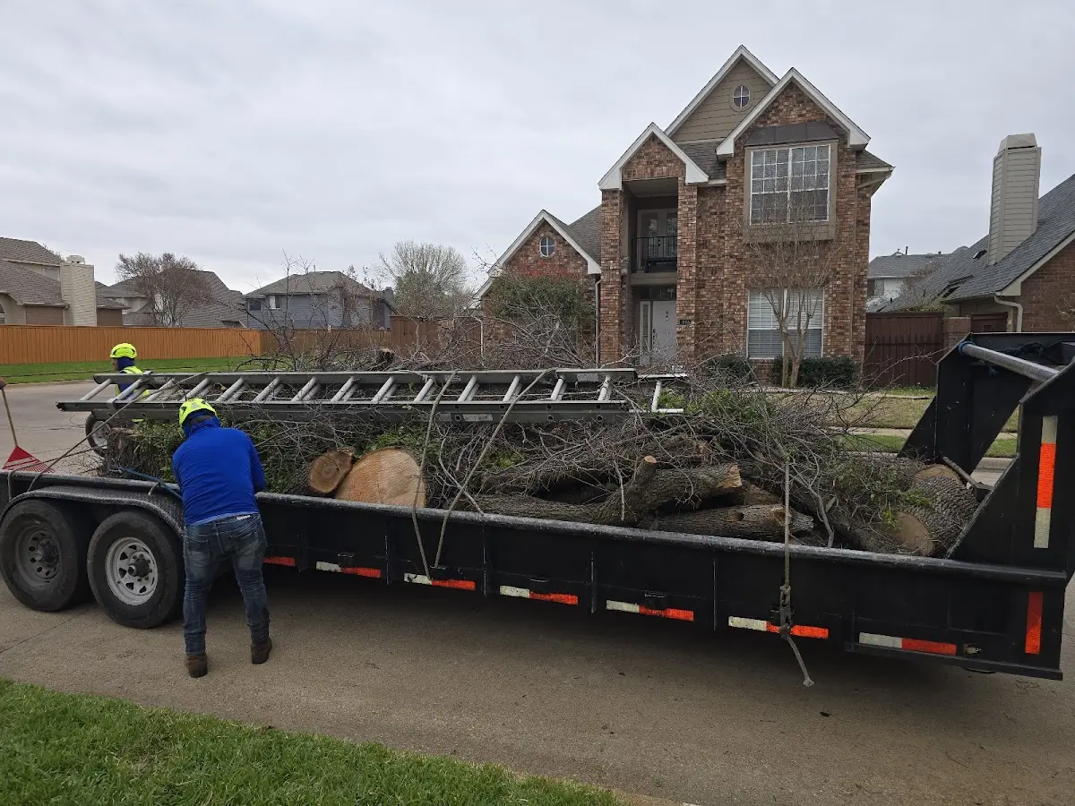 Expert Tree Removal with proper safety equipment in Lebanon